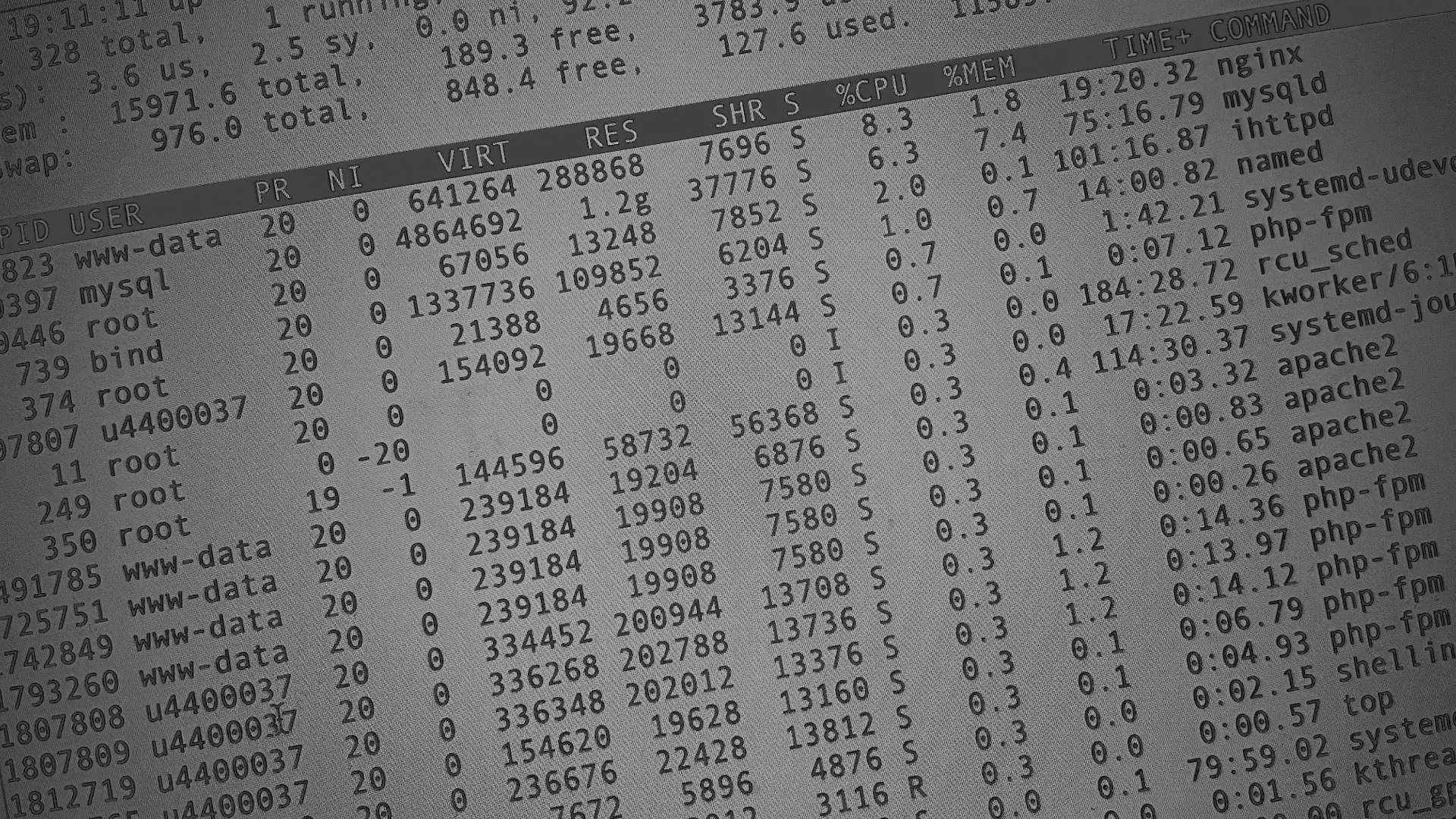 Настройка сервера в Лысьве