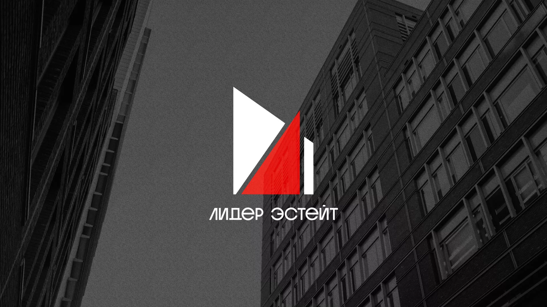 Сделали логотип для агентства недвижимости «Лидер Эстейт» в Лысьве